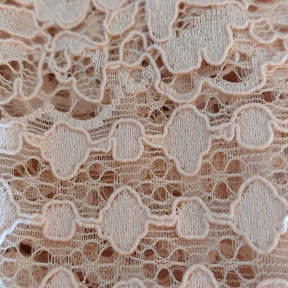 Allison Joy Lace Blouse, Champagne, Bell Sleeve, Size L - Picture 10 of 11